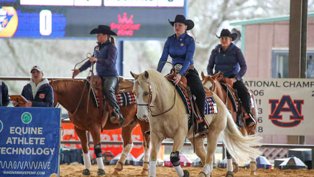 Auburn Equestrian